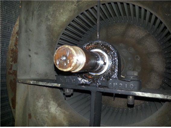 00골프장 왕복동40RT 실내기베이링교체 (2014년12월23일)